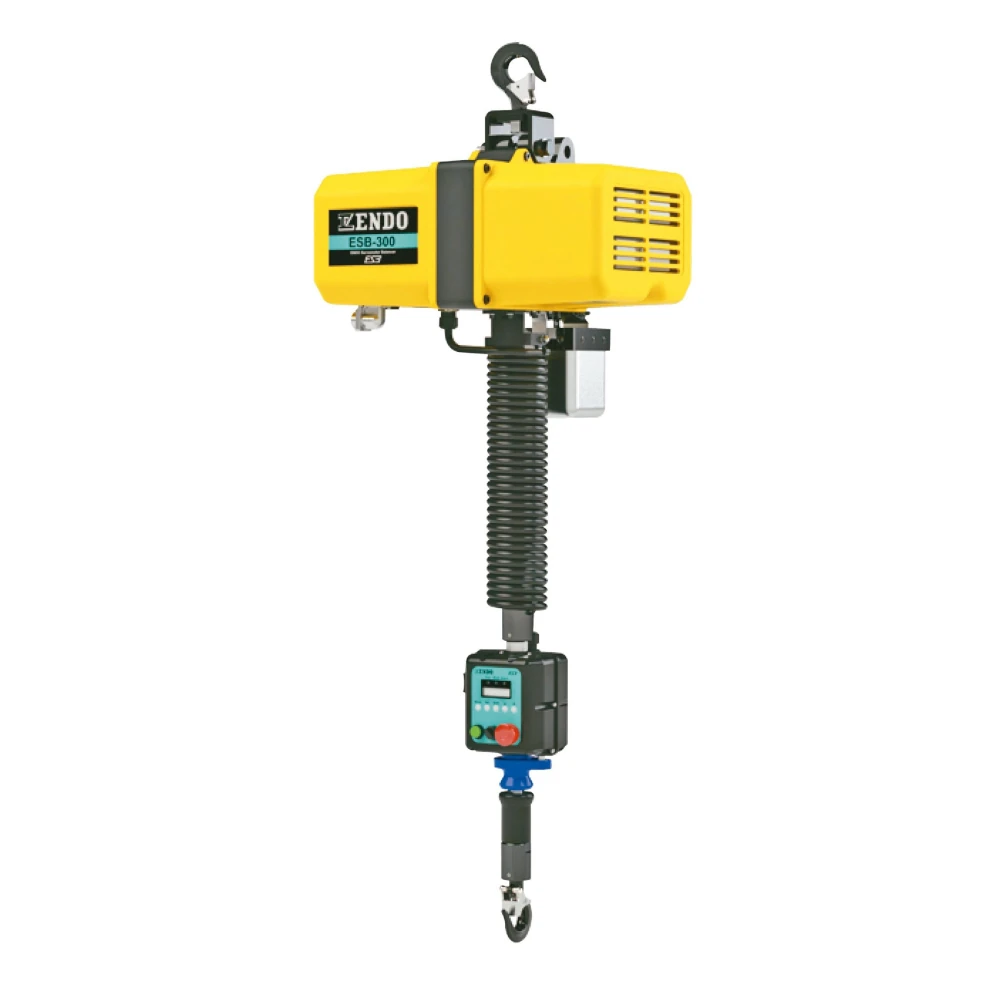 ENDO servo balansyras (ESB-300), iki 300 kg