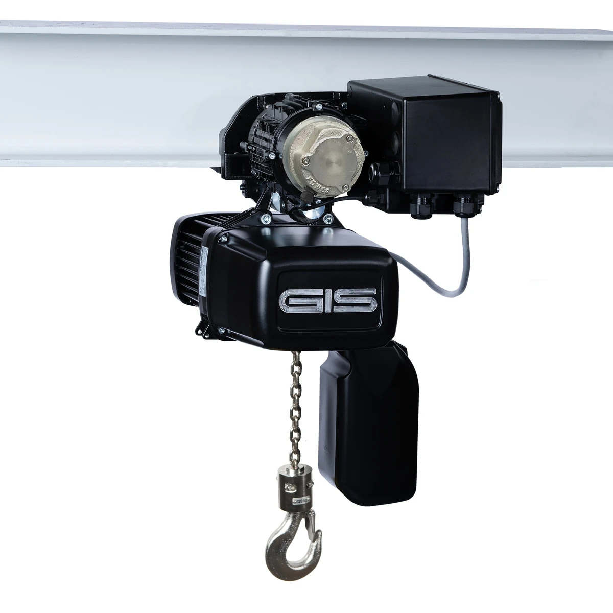 GIS GPR elektrinė grandininė talė maisto pramonei